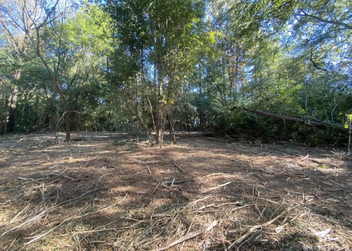 land clearing & forestry mulching hueytown al being done