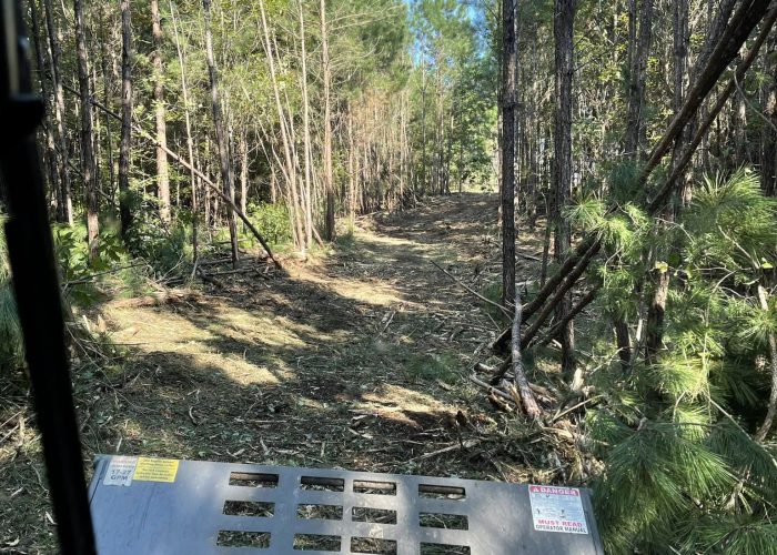 brush mowing hueytown al